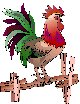 rooster
