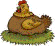 Hen